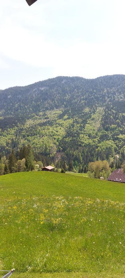 Villa Bichlhof Riedenberg Thiersee Exterior foto
